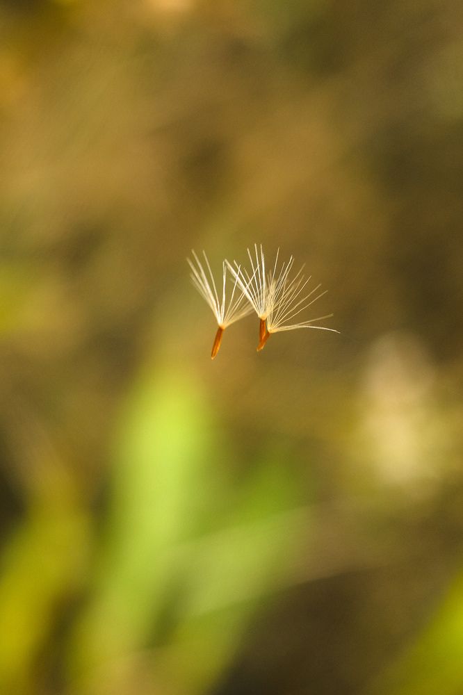 Photograph by Алла Никушкина