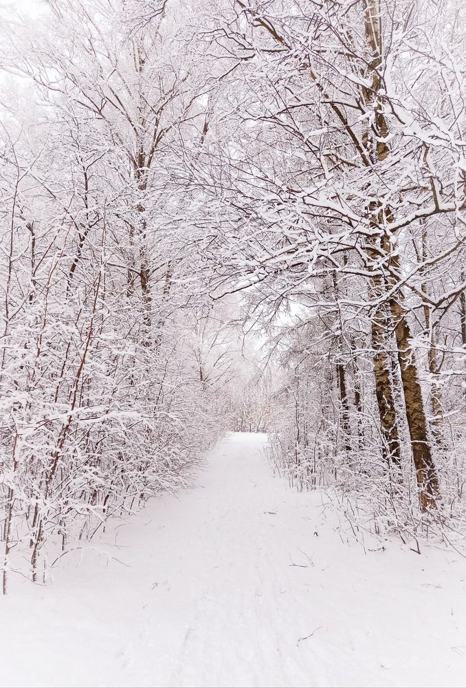 Photograph by Екатерина Морозова