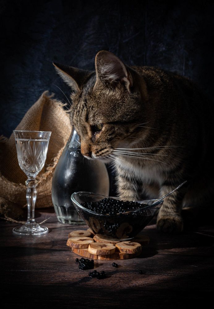 Фотография автора Оксана Белозерская