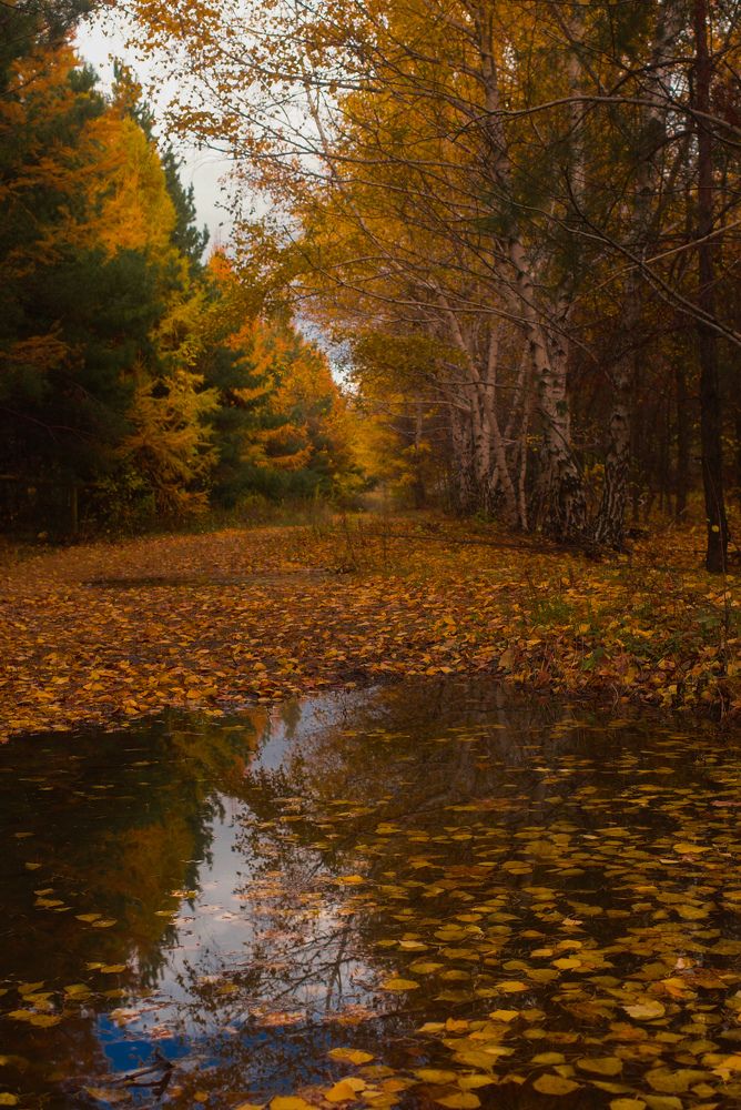 Photograph by Алла Никушкина