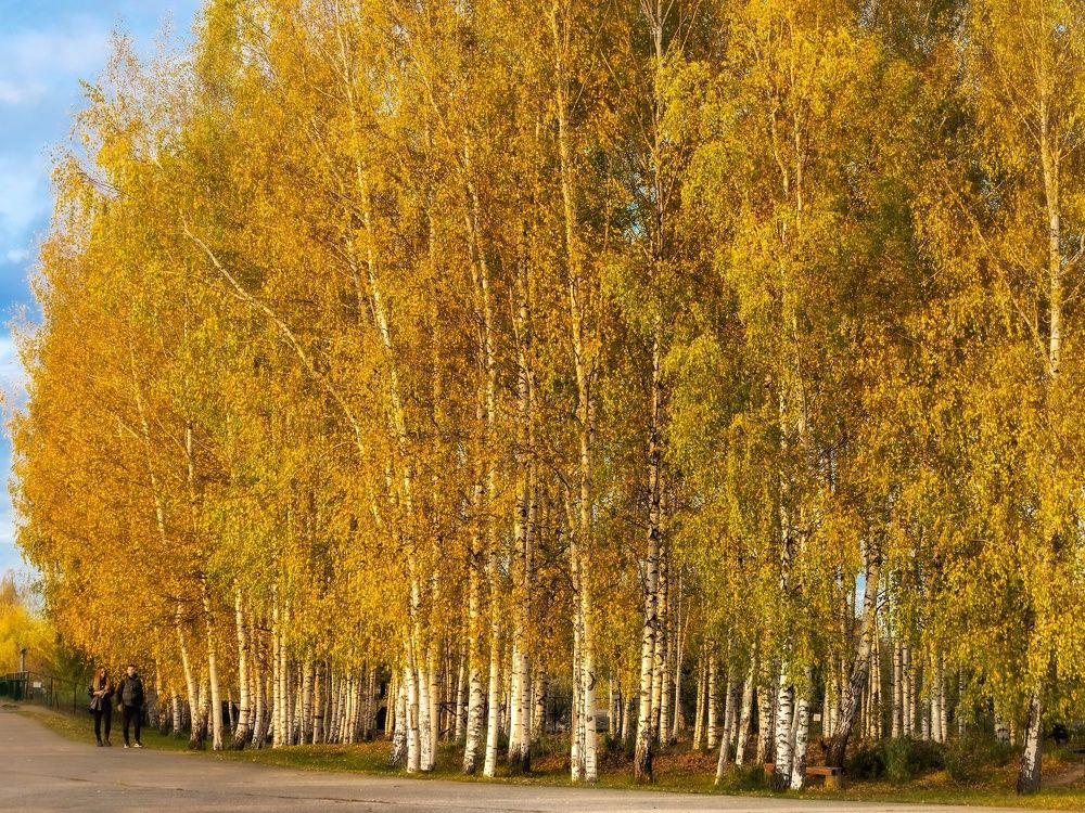 Photograph by Елена Белехова