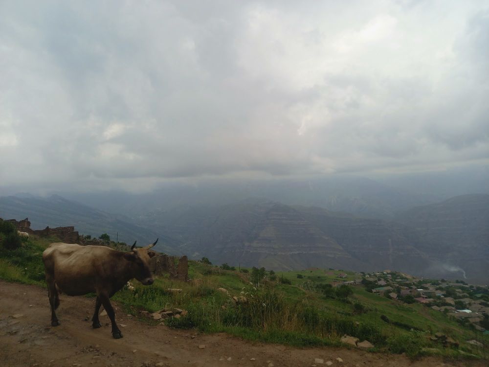 Photograph by Viktoria Vavilkina