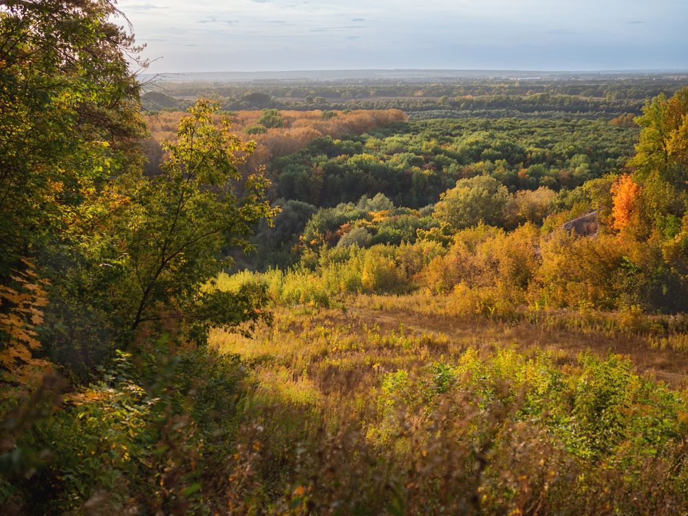 Photograph by Larisa Usova