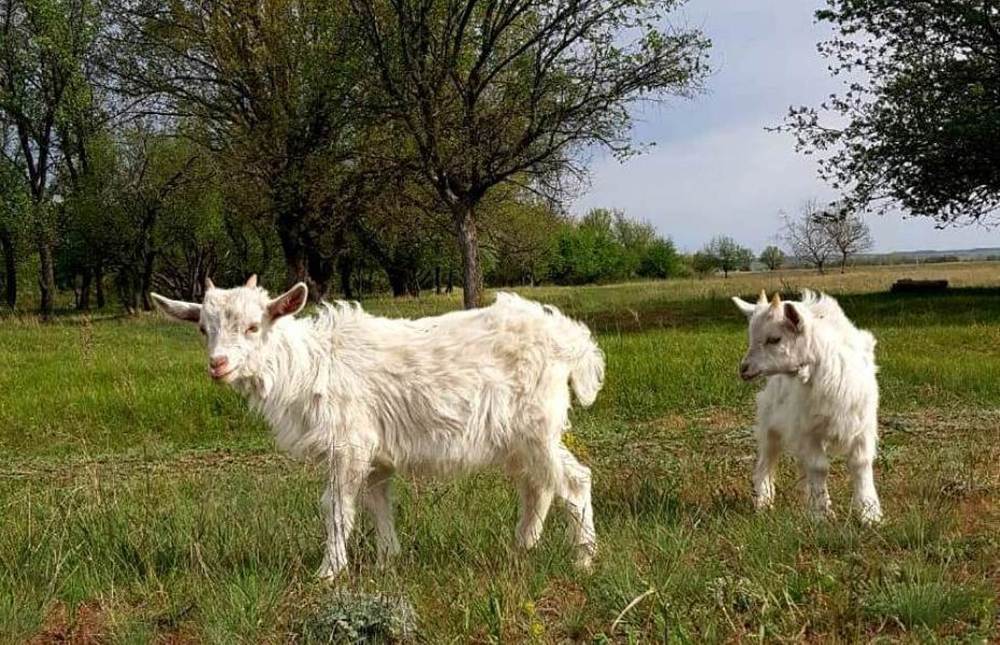 Photograph by Тамара Багровская
