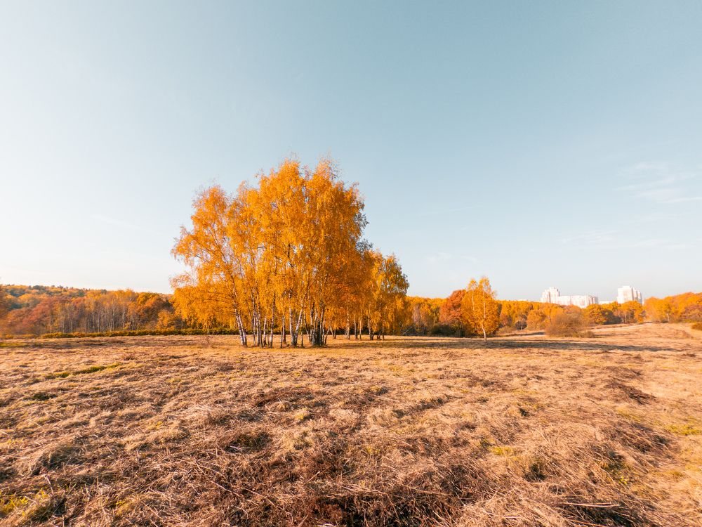 Photograph by Ярослав Изотов