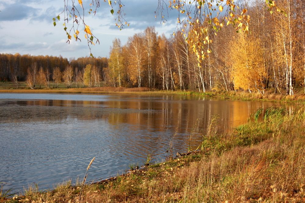 Фотография автора Nelya  Lysenko