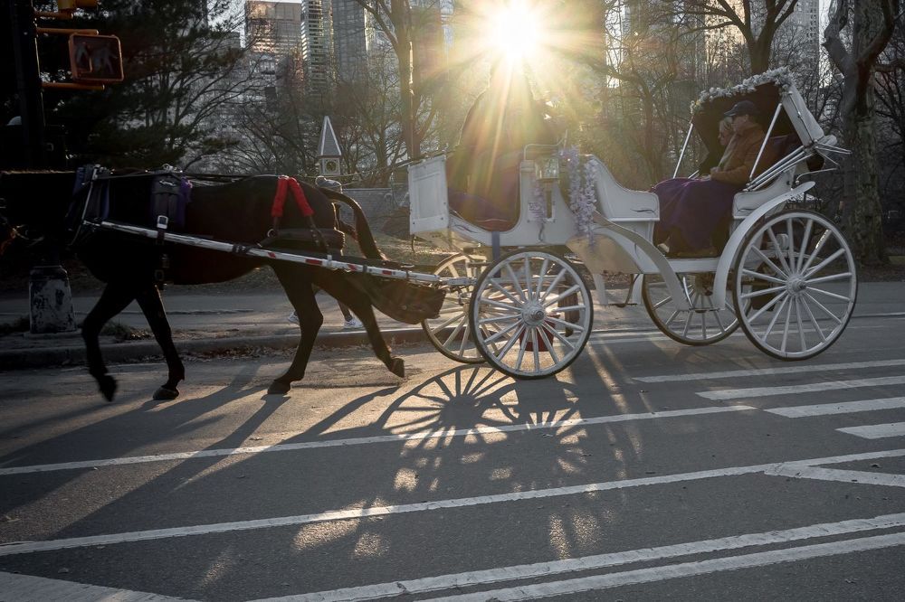 Photograph by Кермен Манджиева