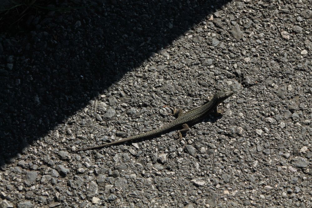 Photograph by Диана Ульянцева