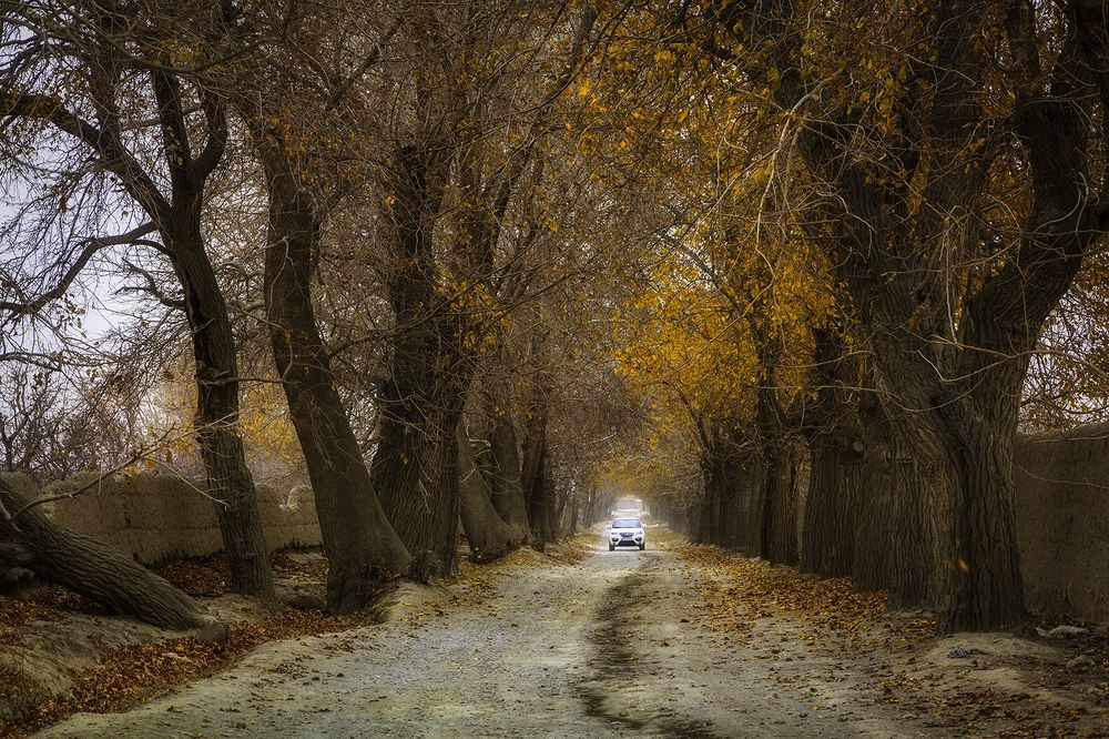 Photograph by Hengameh pirooz