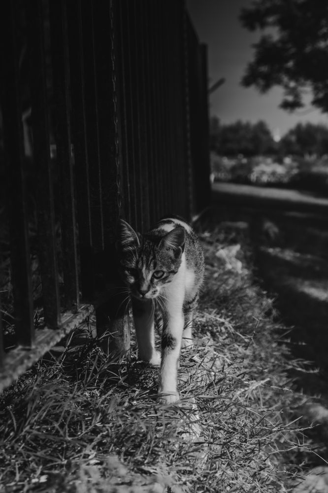 Photograph by Дмитрий Пушкарёв