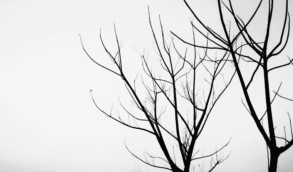 Photograph by Rohit Bhowmick
