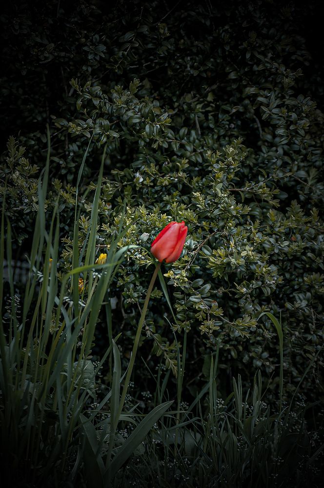 Photograph by Диана Ульянцева