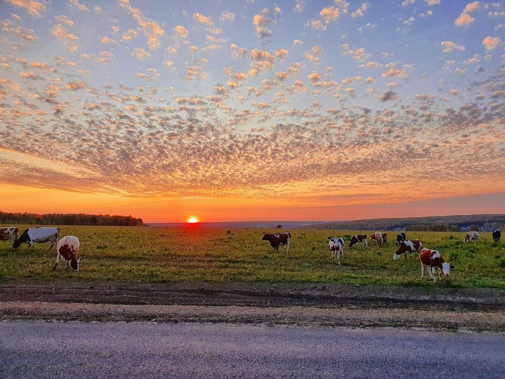 Photograph by Олег Титкин