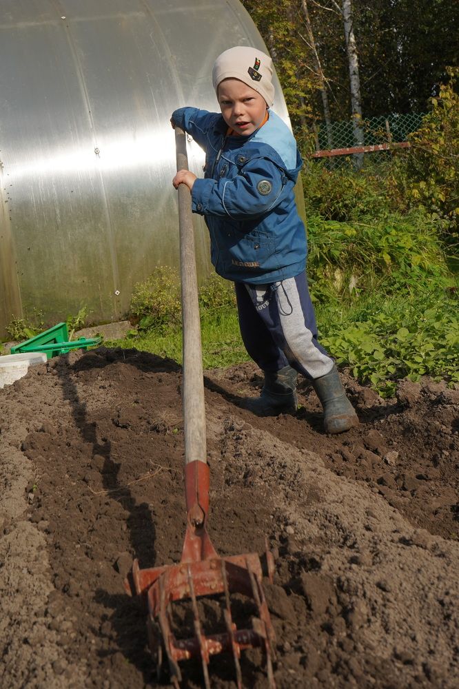 Photograph by Елена Копейкина