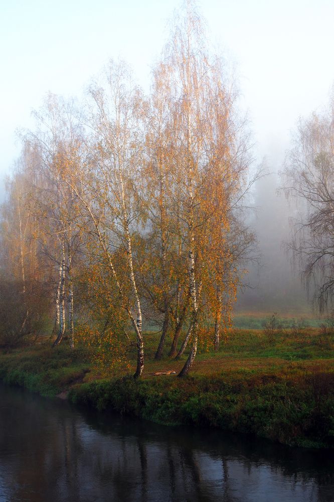 Photograph by Яр Ник