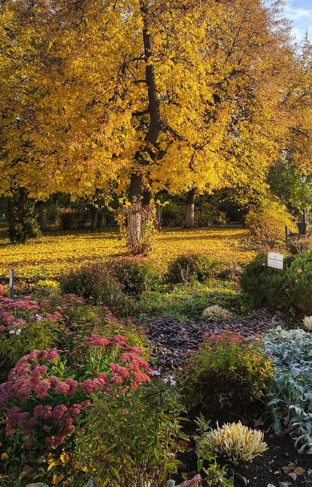 Photograph by Юлия Курпякова