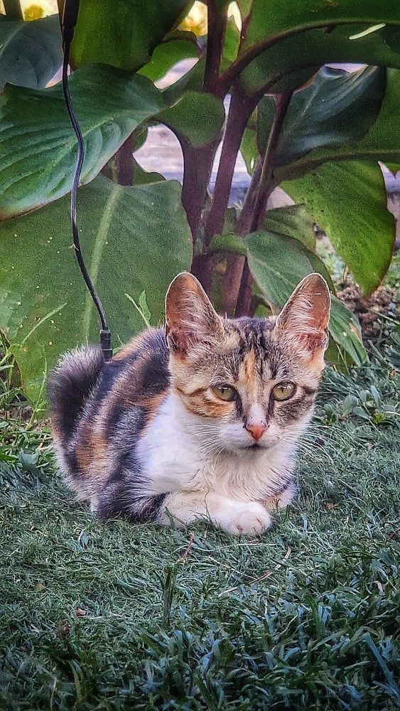 Photograph by Noemí Hornero Alonso