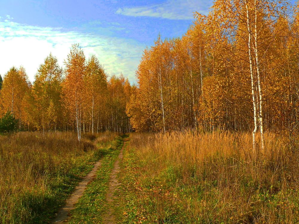 Фотография автора Анатолий Борисов