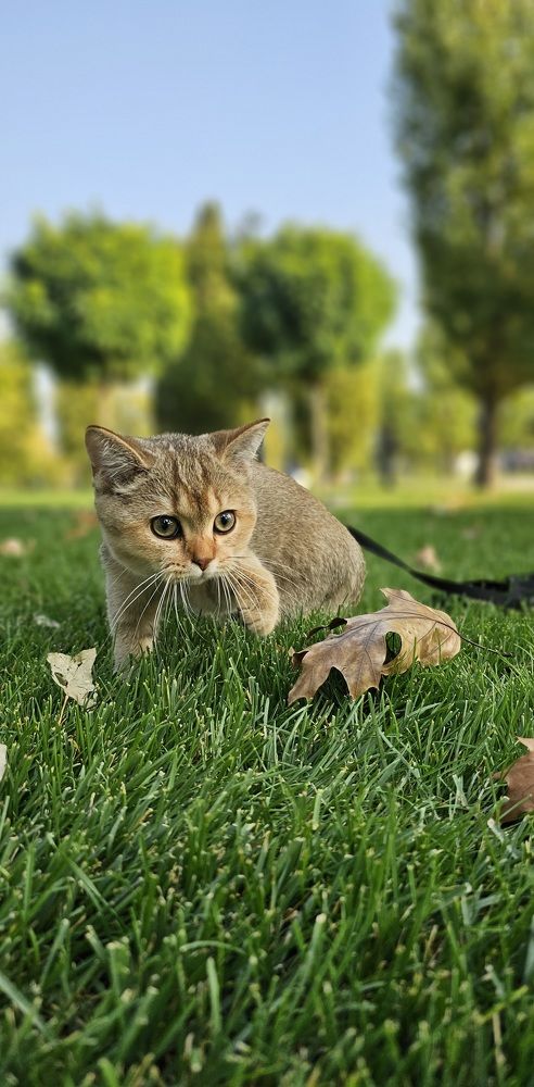 Photograph by INNA KHOMENKO