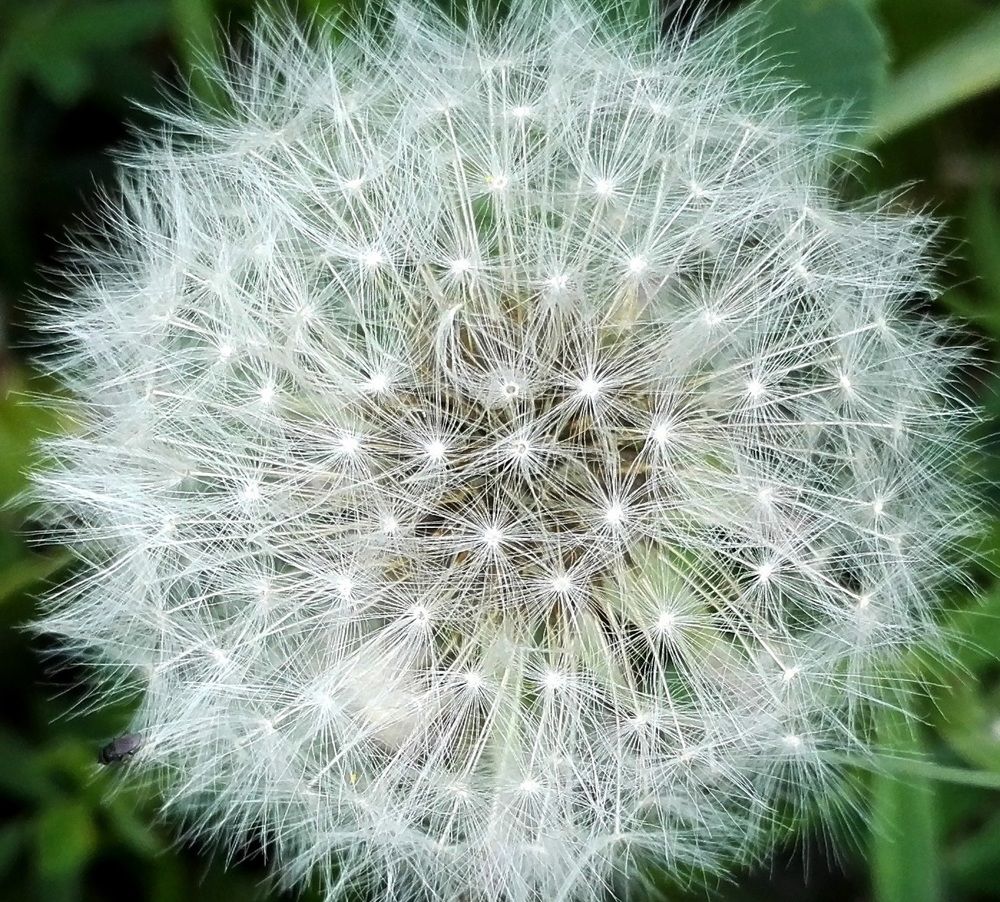 Photograph by Тамара Багровская