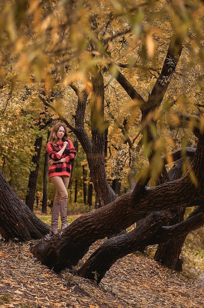 Photograph by Светлана Виденькина