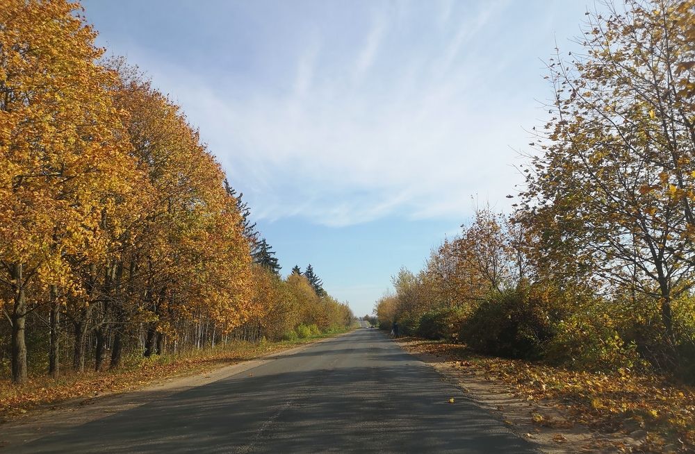 Photograph by Екатерина Борисовна Кузьмина