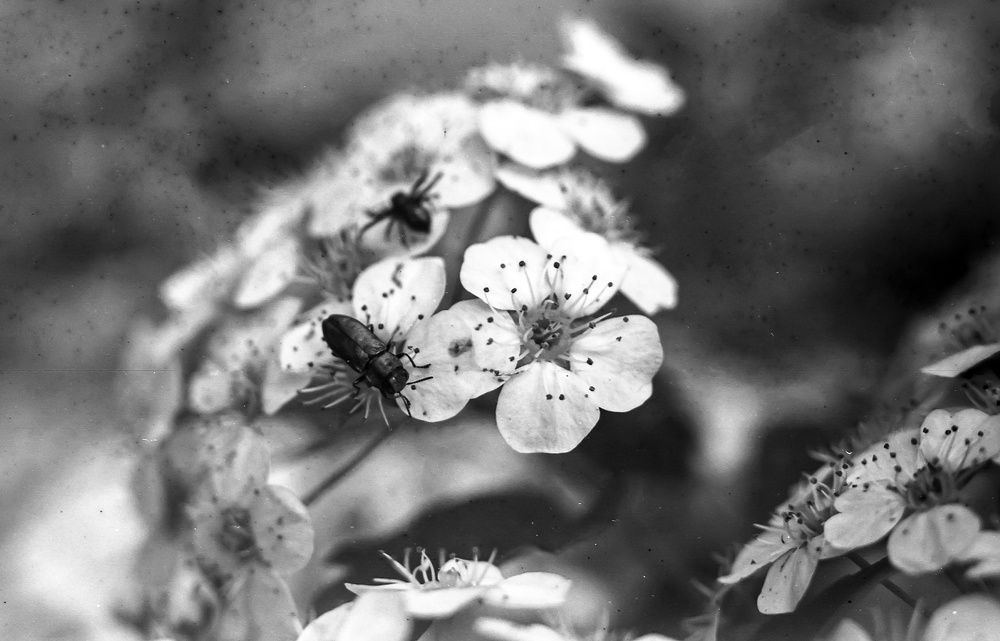 Фотография автора Ксения Смирнова