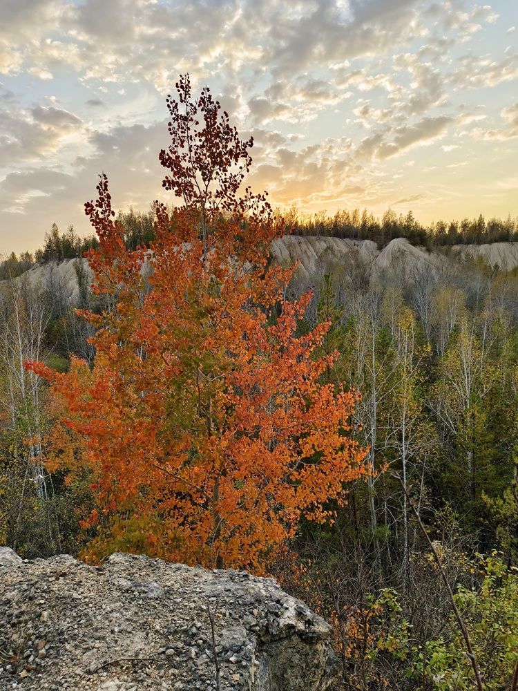 Photograph by Юлия Курпякова