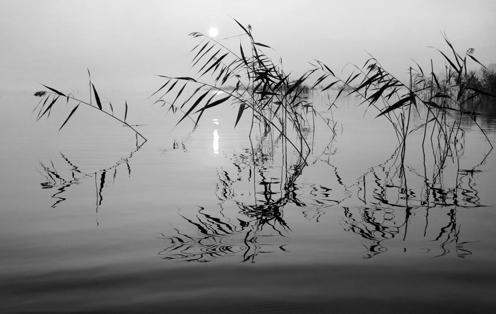 Фотография автора Кухта Мария