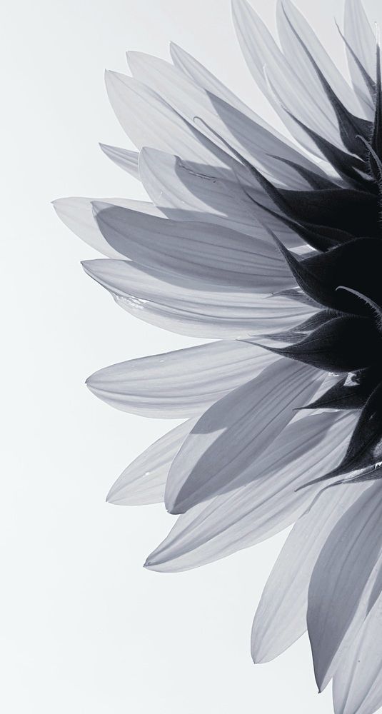 Photograph by Viktorova