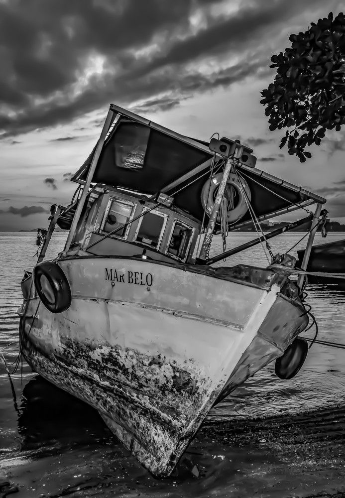 Photograph by Andre Nunes