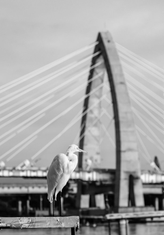 Photograph by Andre Nunes