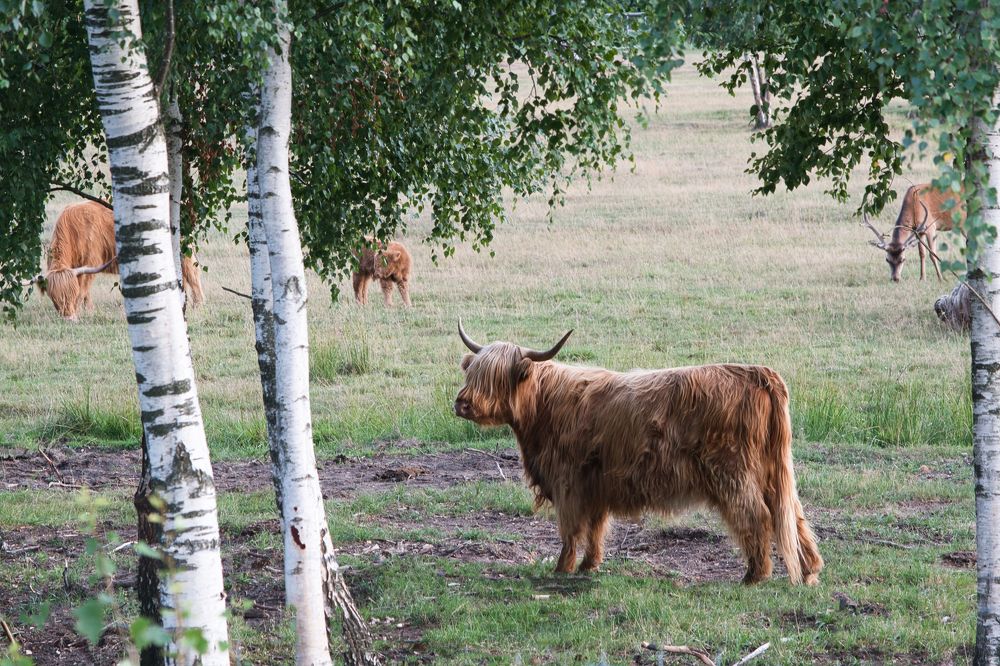 Photograph by Janis Serdienis