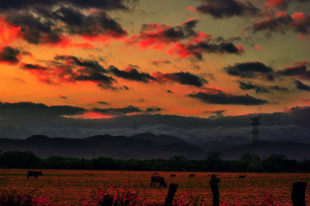 Photograph by Adrian Ramirez