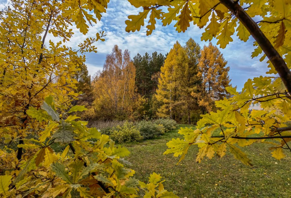 Photograph by Александр Разумов