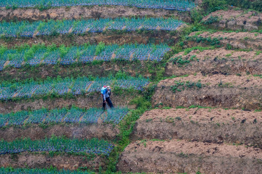 Photograph by Pratiwanjono Ambrosius