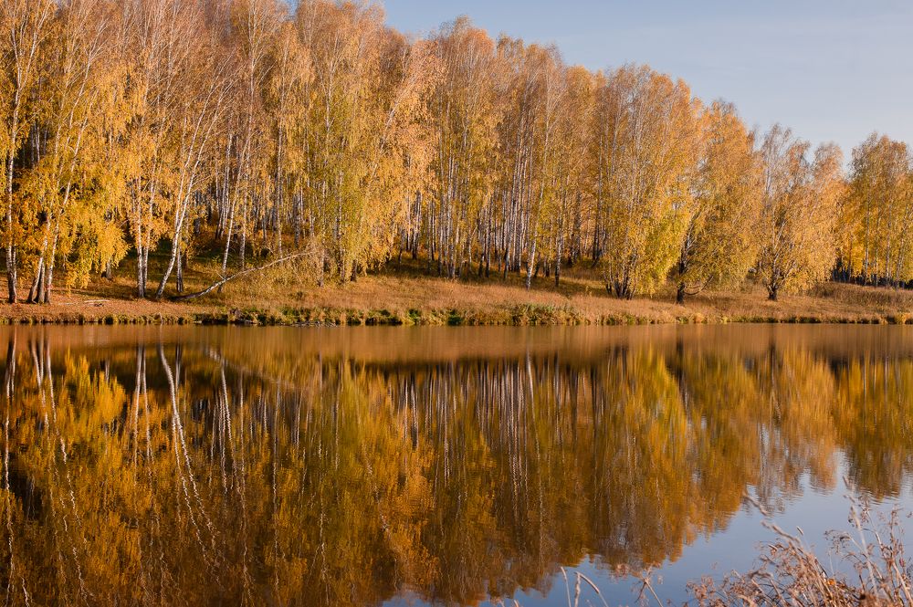 Photograph by Ирина Шерина