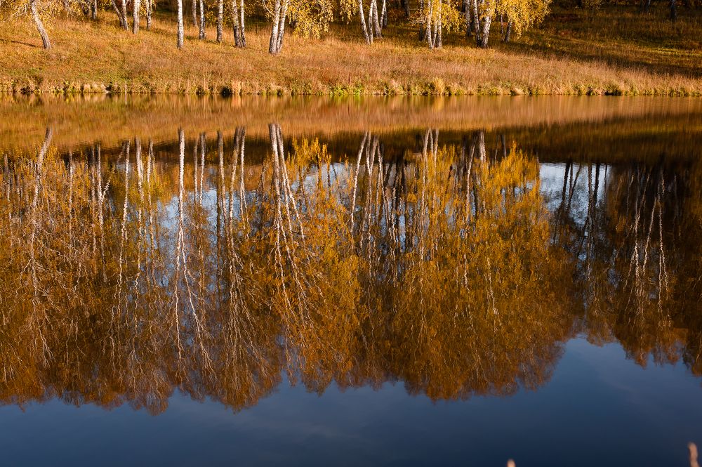 Photograph by Ирина Шерина