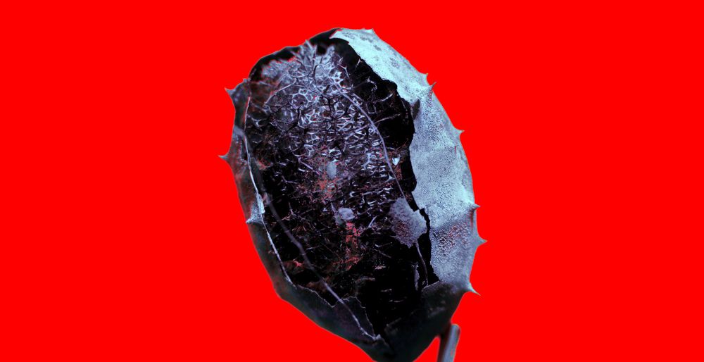 Photograph by Adrian Ramirez