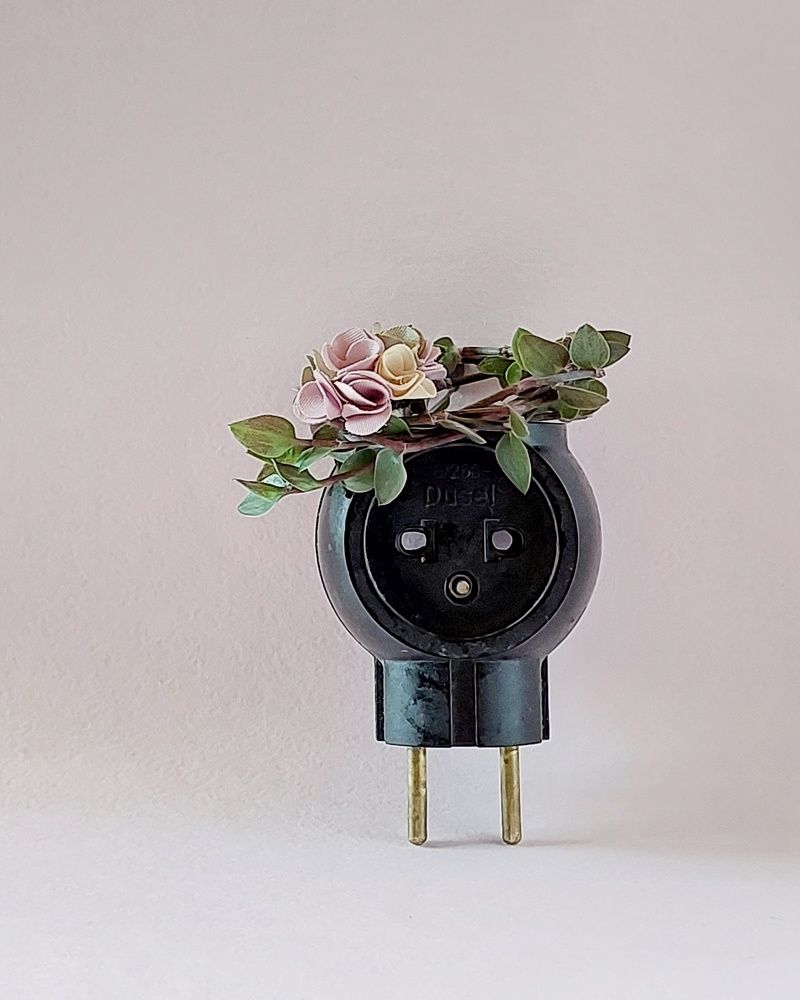 Photograph by Эмма Рахматуллина