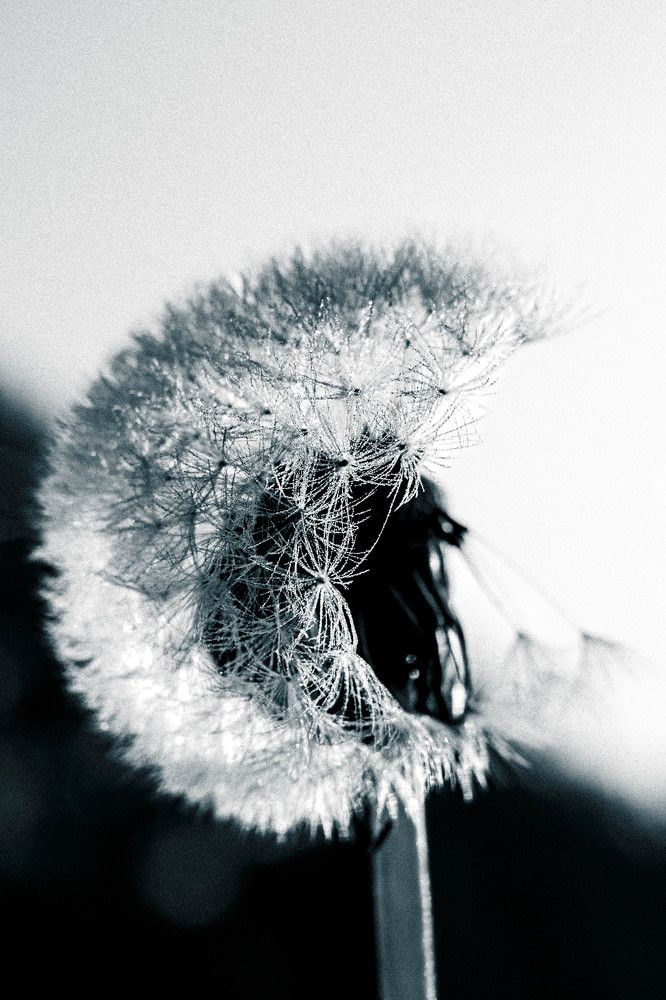 Фотография автора Ирина Гриценко