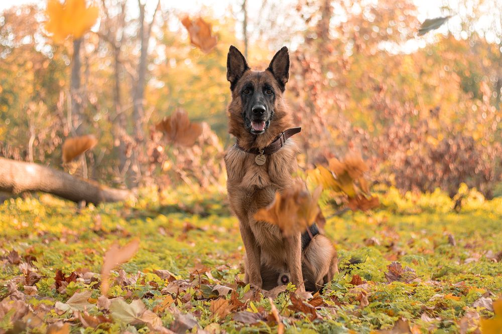 Photograph by Любовь Головина