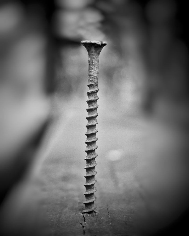 Photograph by EVGENY YURMANOV