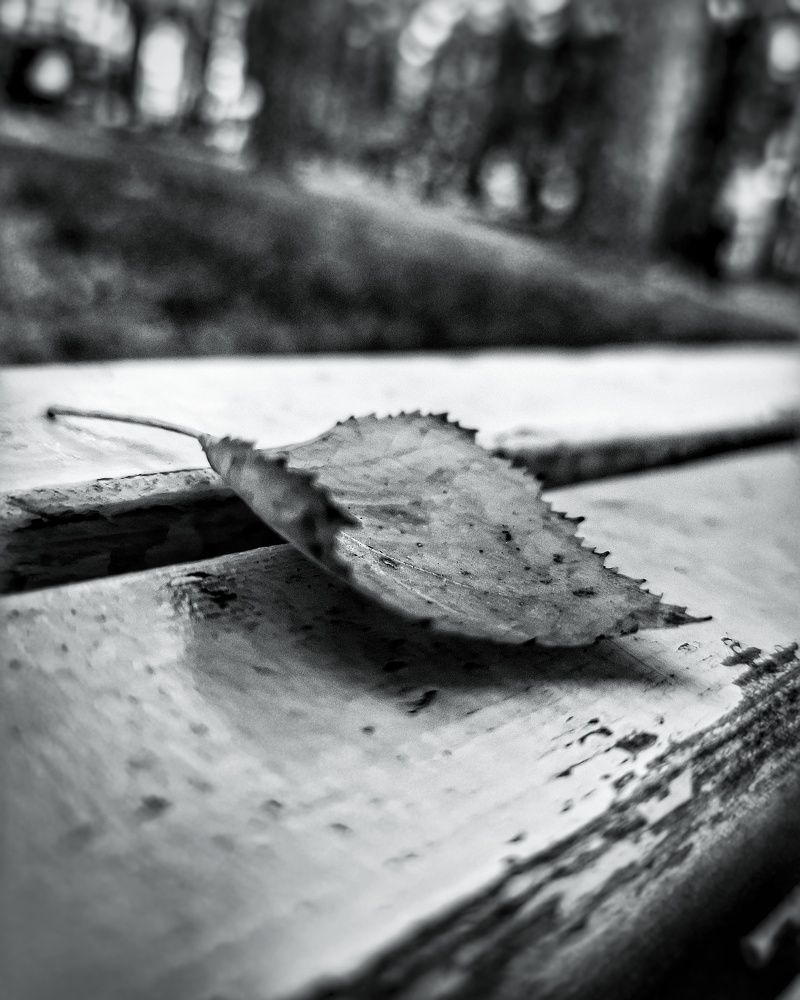 Photograph by EVGENY YURMANOV