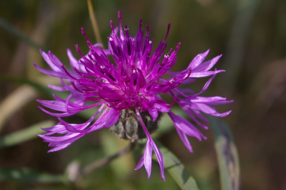 Photograph by Елена Алешкевич