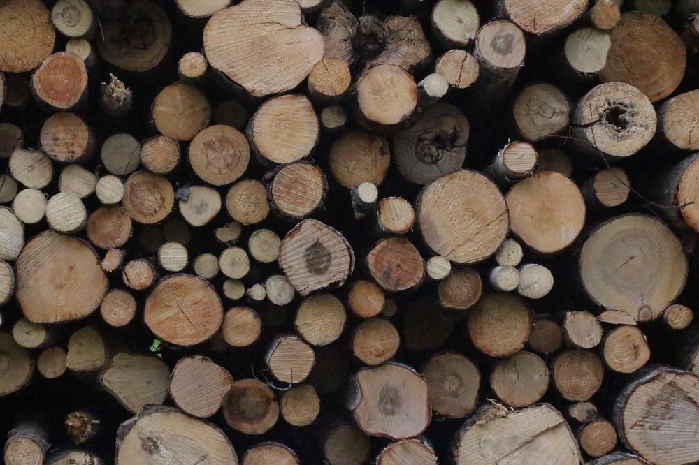 Фотография автора Егоров Максим