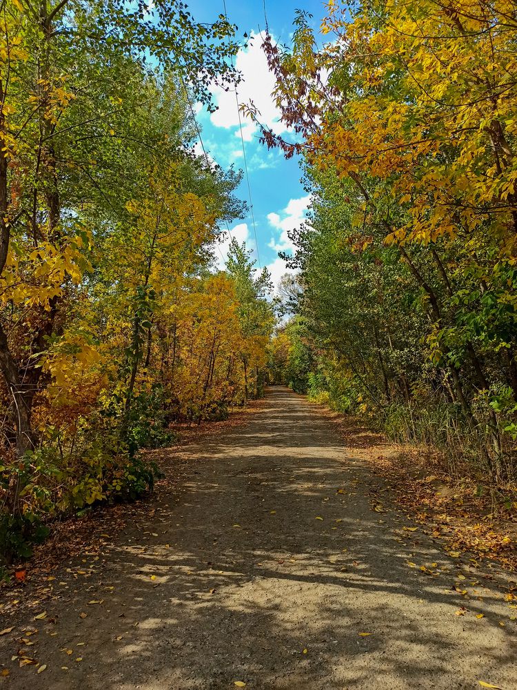 Photograph by Марина Сенгальт