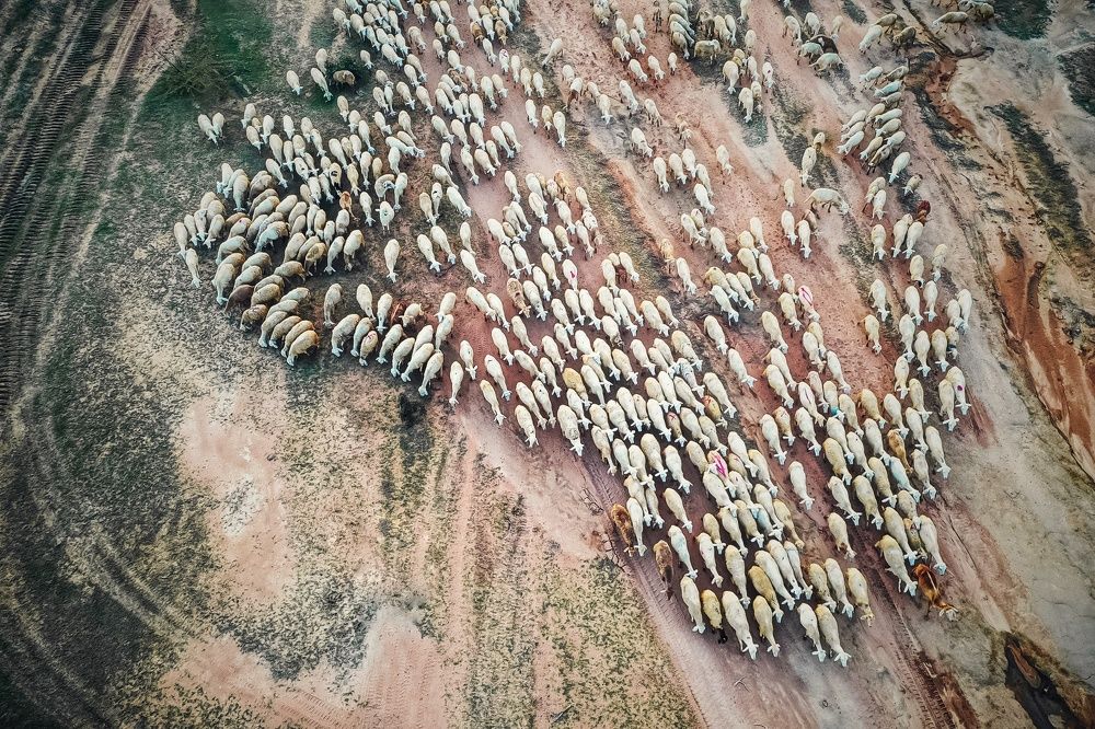 Photograph by Do Thi Thanh Binh