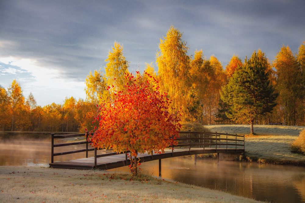 Photograph by andrei zorin