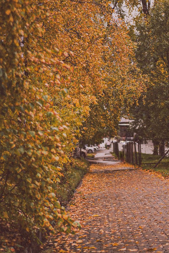 Photograph by Анна Колесниченко